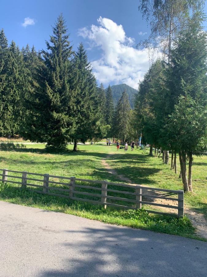 Maya Luxury Residence Poiana Brasov Esterno foto